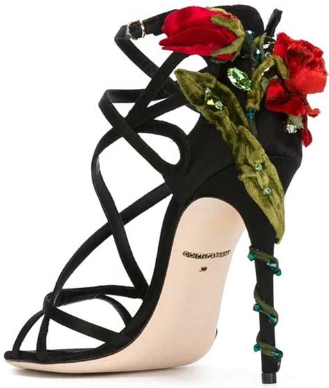 dolce gabbana rose shoes